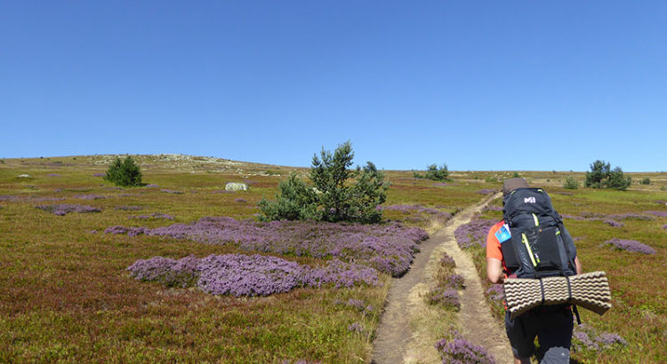 Mont-Lozère